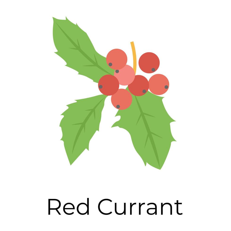 Trendy Red Currant vector