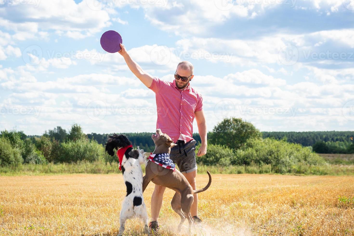 entrenar perros en el sitio foto