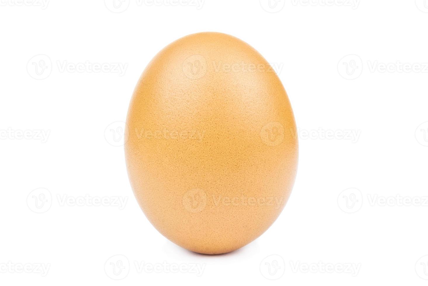 Egg isolated white background cutout photo