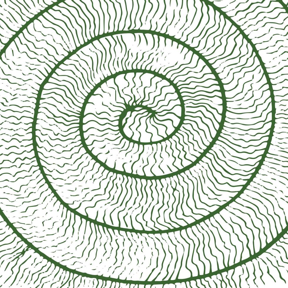 Abstract of snail roll good for background, wallpaper, print, art. vector