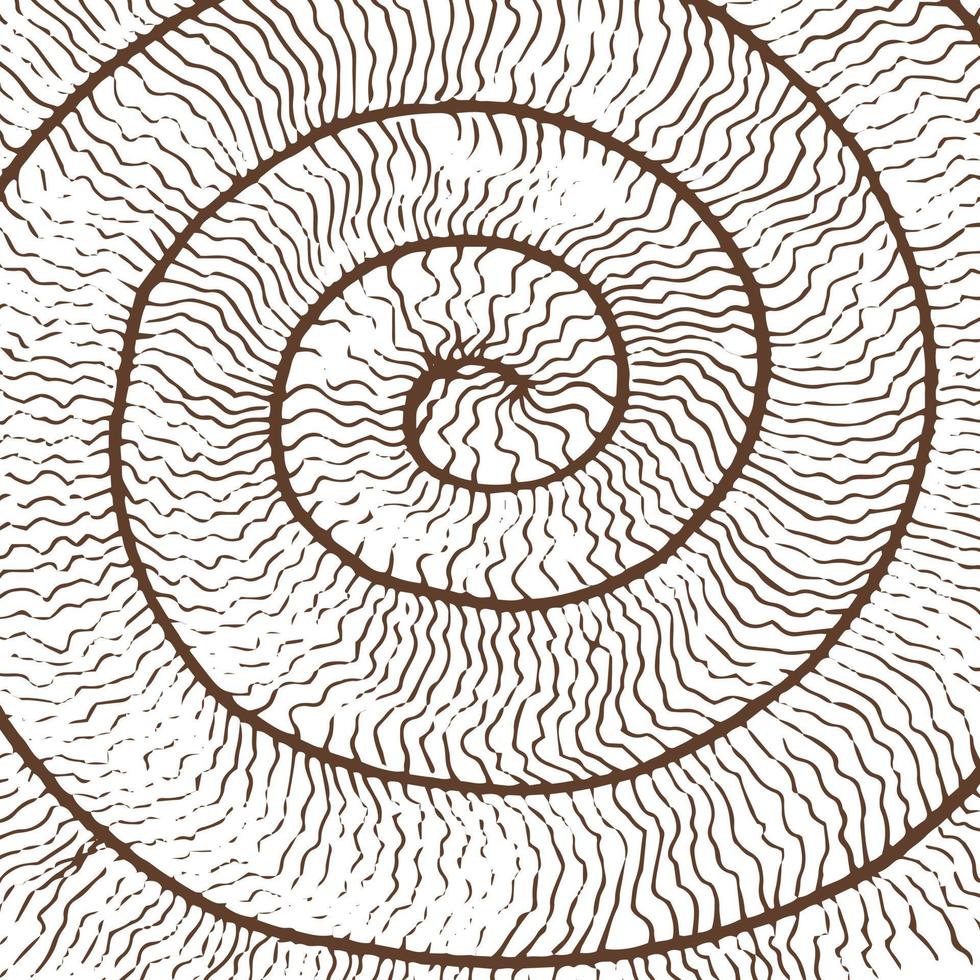 Abstract of snail roll good for background, wallpaper, print, art. vector