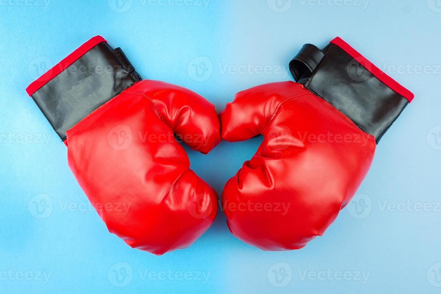 boxing gloves and paw photo