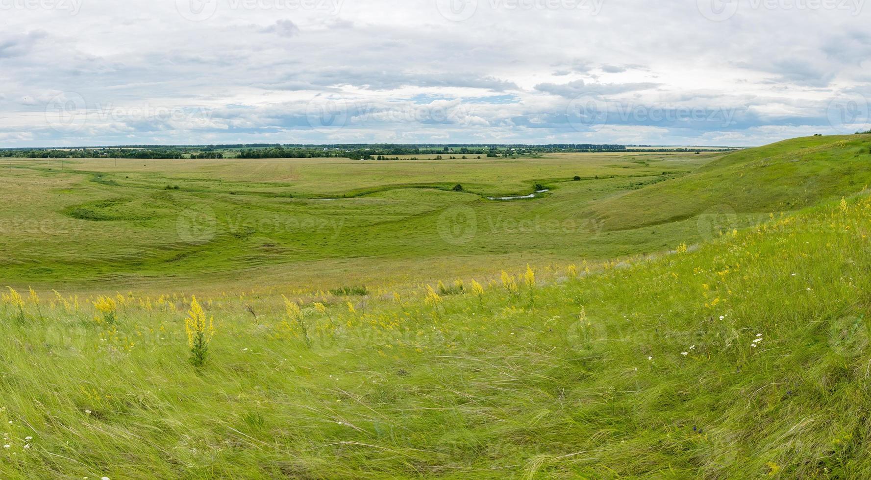 Panorama of a beautiful meadow photo