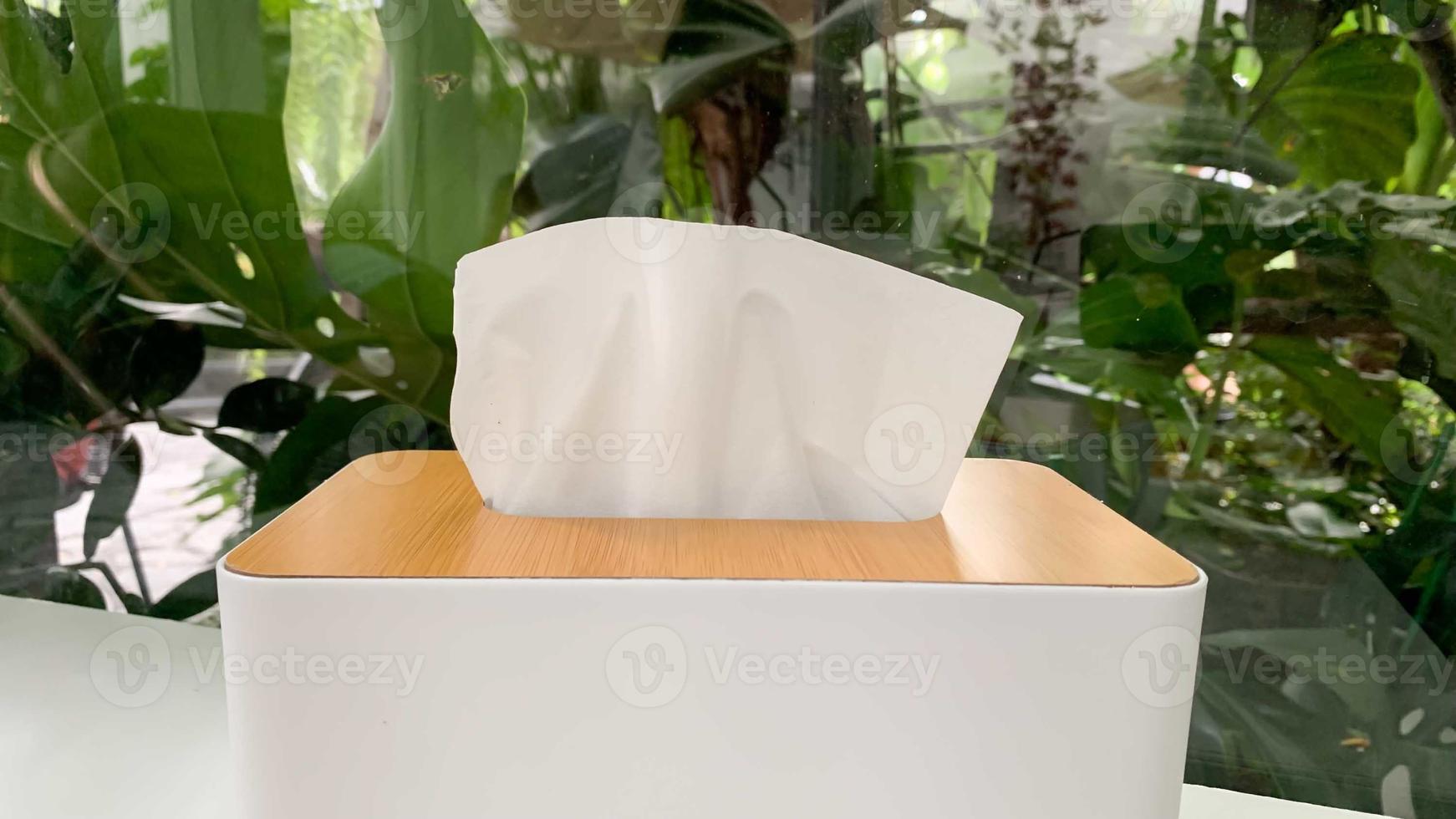 White tissue box, in the mirror room natural back trees photo
