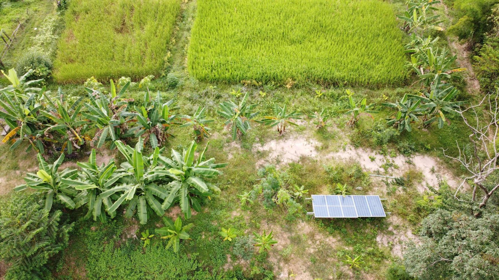 Aerial of view rice fillds. photo