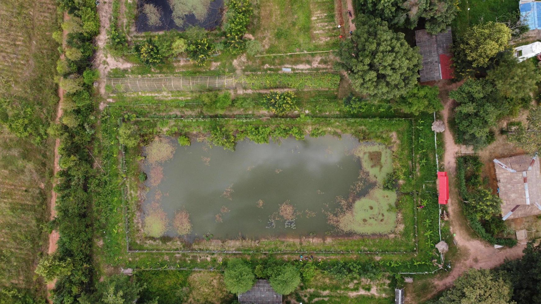 vista superior de la granja en tailandia. foto