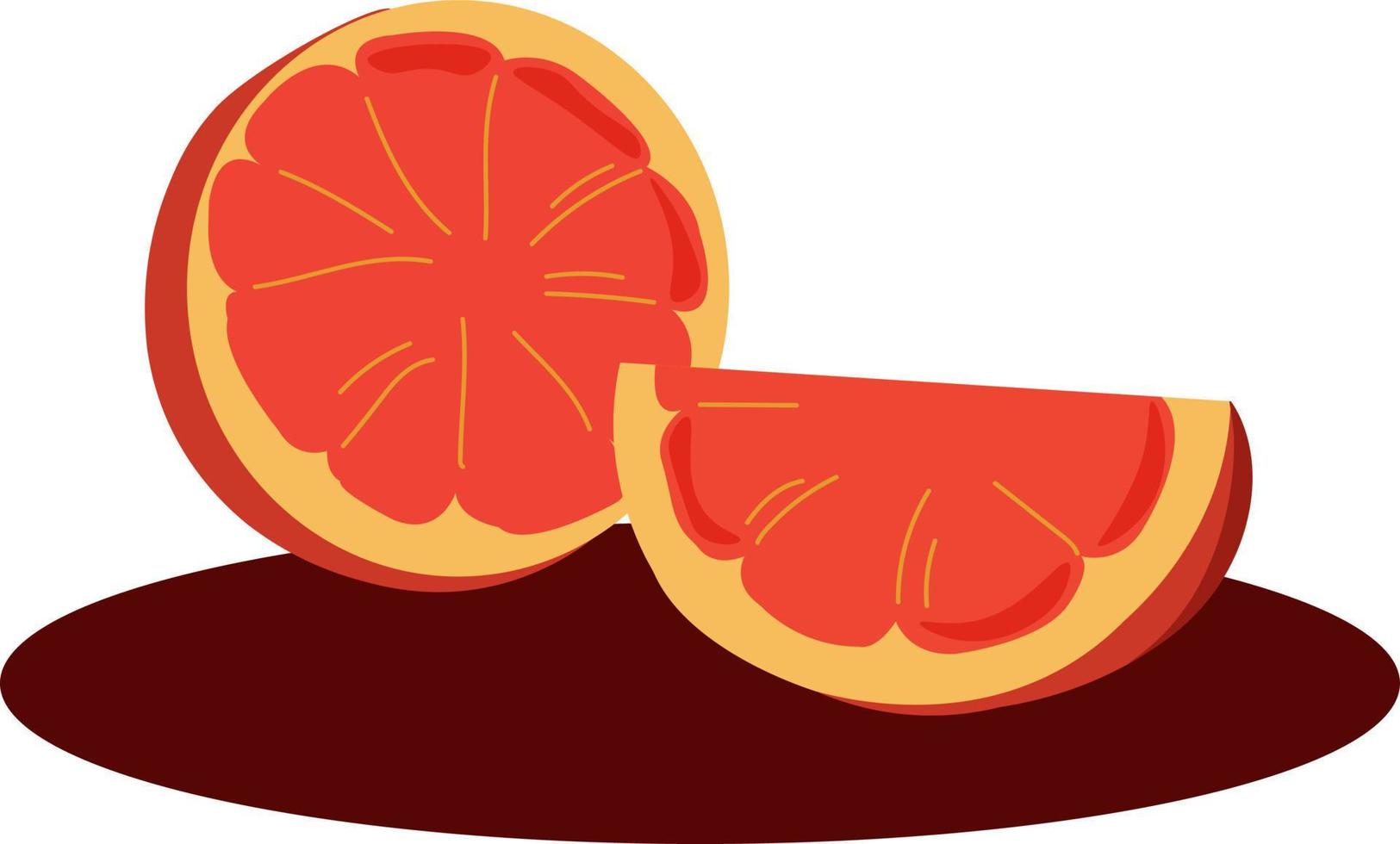 Blood orange, illustration, vector on white background.