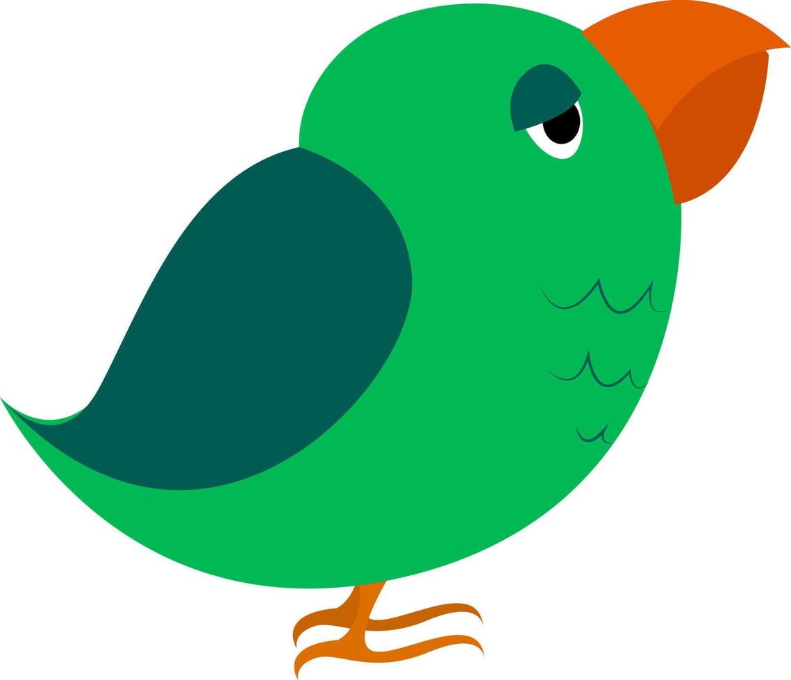 Green parrot, illustration, vector on white background.