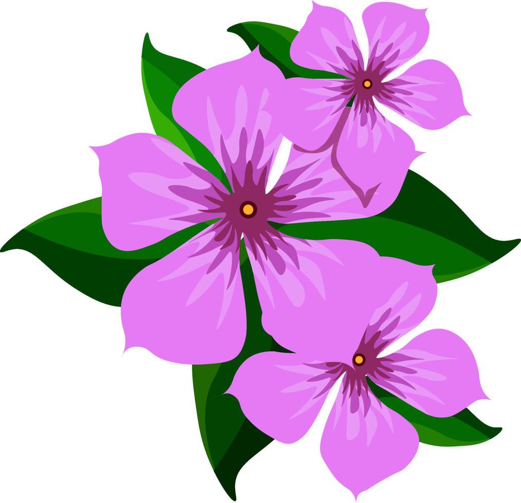 Purple flowers, illustration, vector on white background