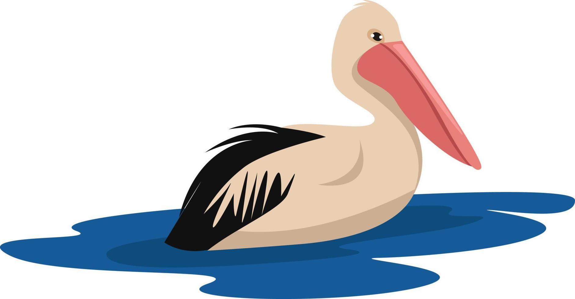 Sad pelican, illustration, vector on white background.
