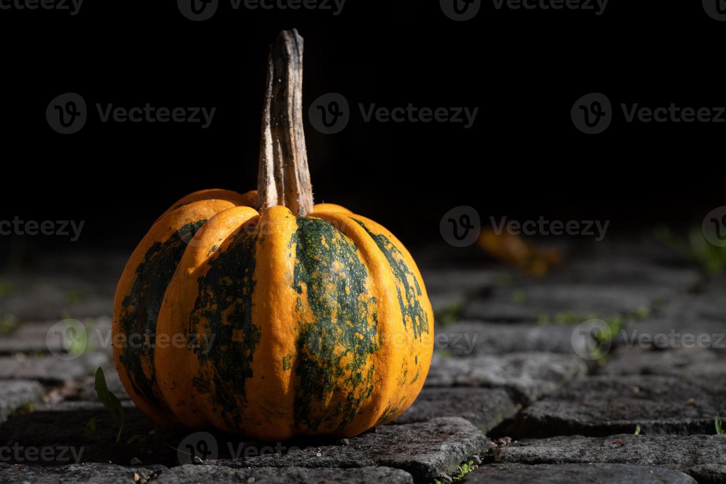 a small round ornamental pumpkin, with yellow and green colors, stands on cobblestones in front of a dark background. There is space for text photo