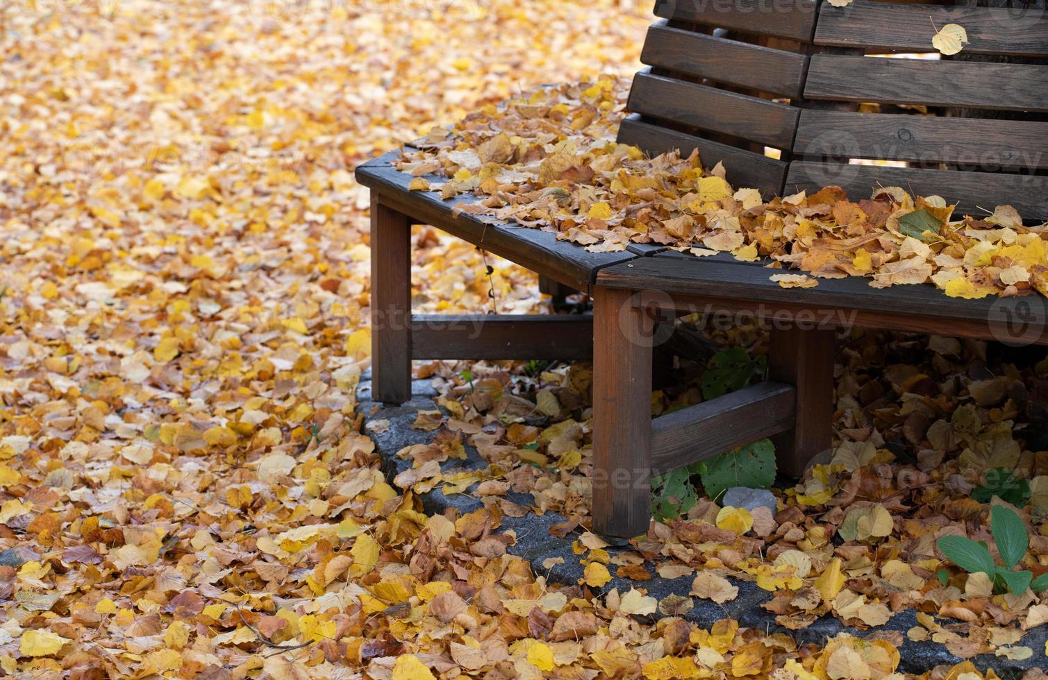 A round wooden bench is covered with fallen leaves in autumn. Yellow leaves lie plentifully on the ground. photo