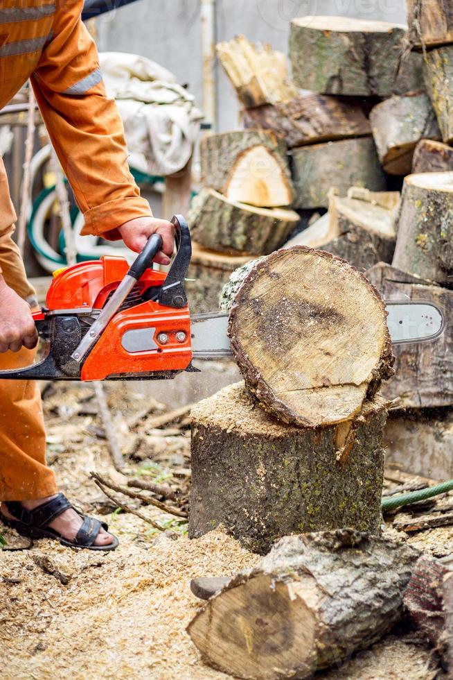 Lumberjack logger worker in protective gear cutting firewood timber tree in forest with chainsaw photo