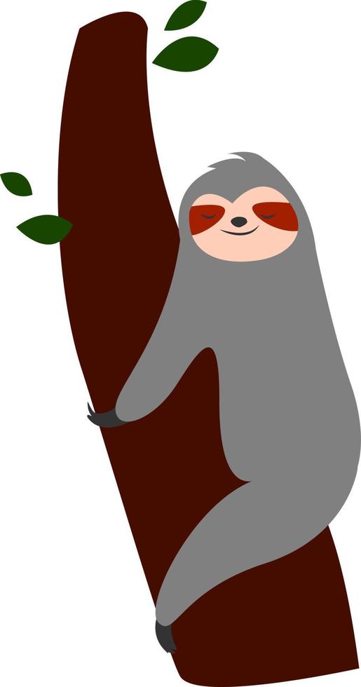 Sleeping sloth, illustration, vector on white background.