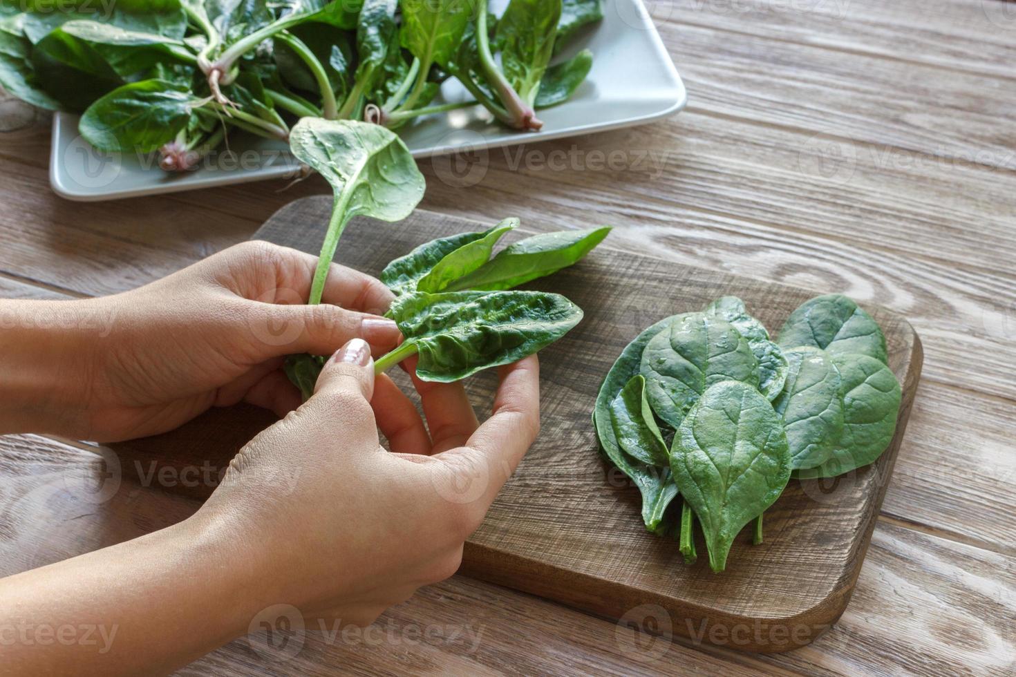 alimentación saludable, dieta, comida vegetariana y concepto de personas - cierre de manos de mujer sosteniendo espinacas en casa foto