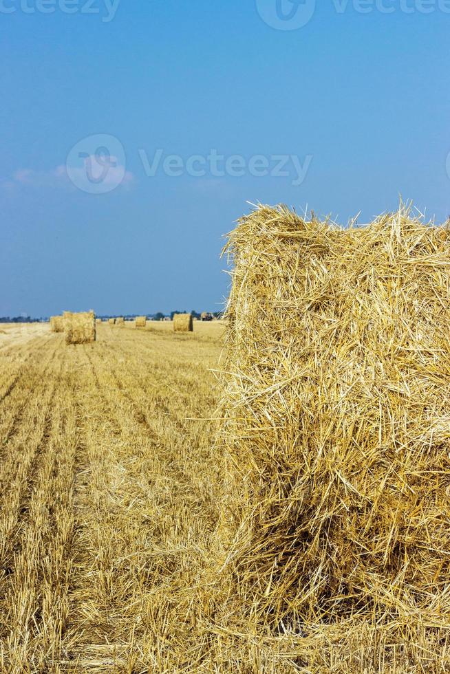 Rural landscapes of Tuscany, Italy, Europe, Rolls of haystacks on the field. Summer farm scenery with haystack on the background of beautiful sunset, Agriculture Concept, Harvest concept photo