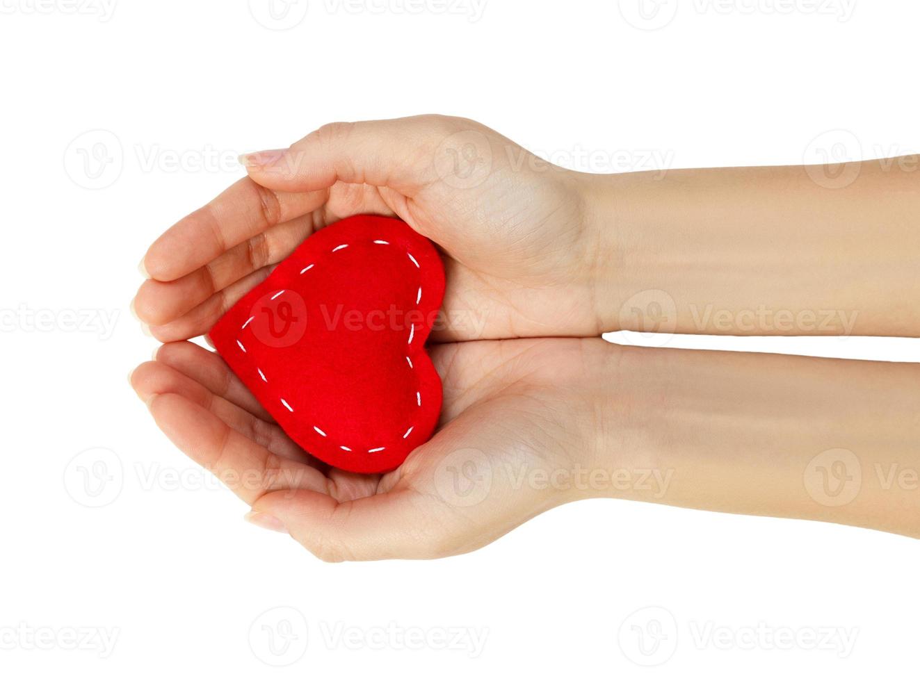 red heart in hands isolated on white background photo