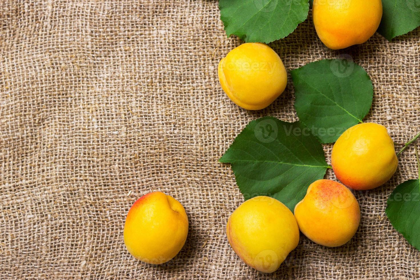 Organic apricots with leaves on sacking background photo