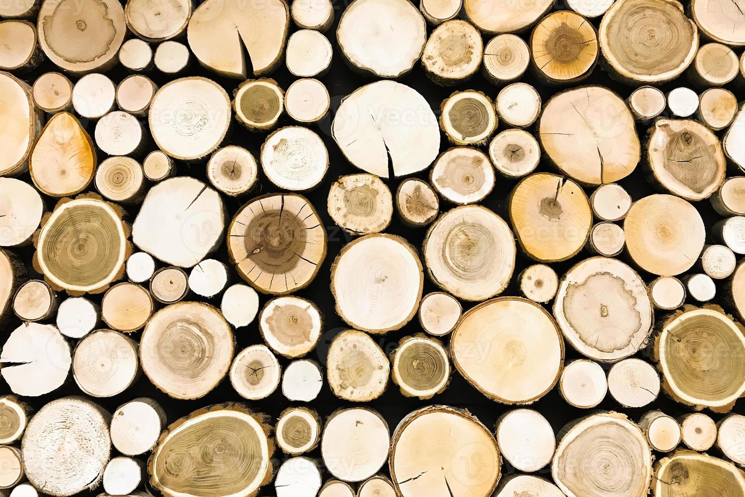 round teak wood stump background. Trees cut section for background texture photo