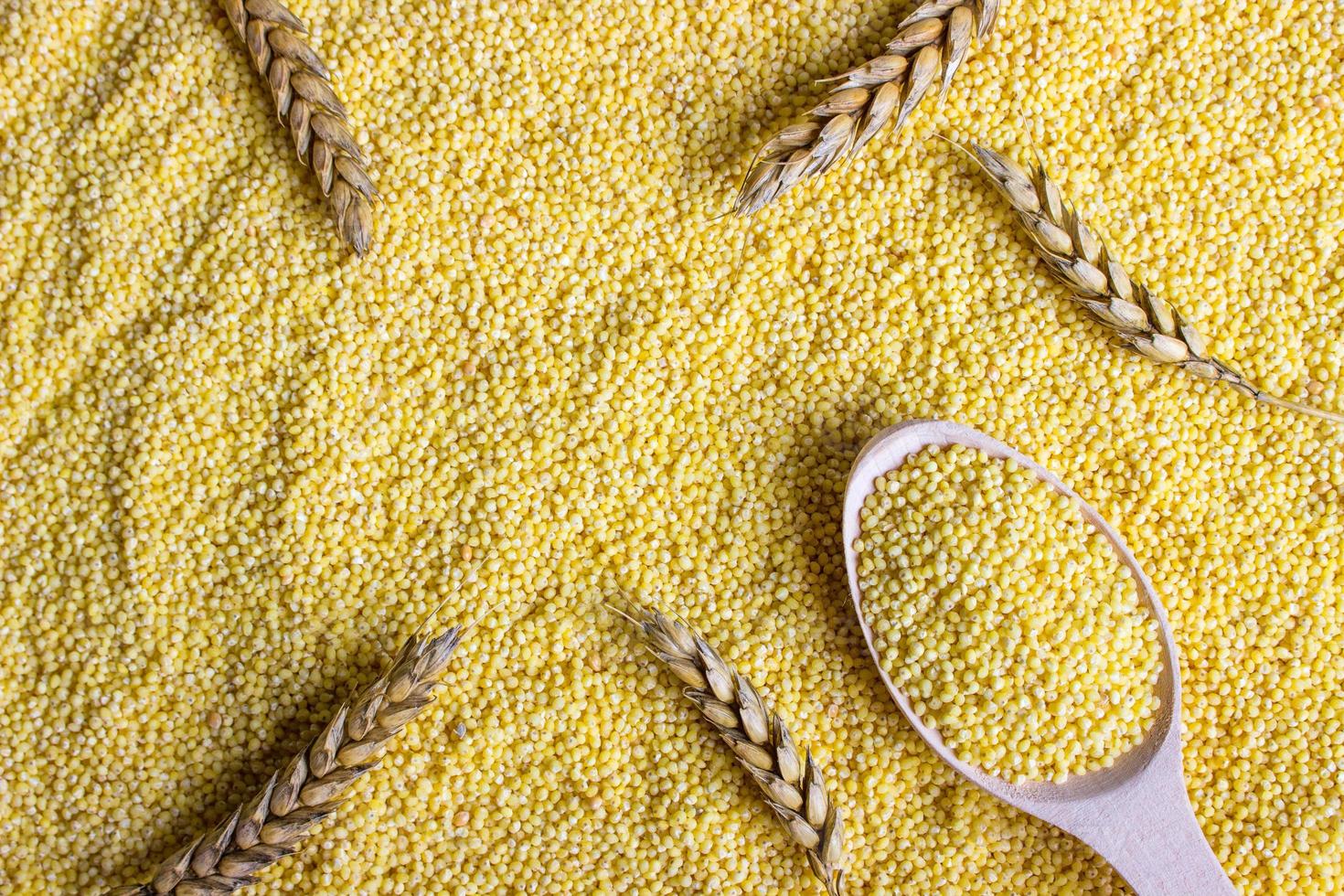 Raw organic millet in a wooden spoon, concept for healthy eating, selective focus photo