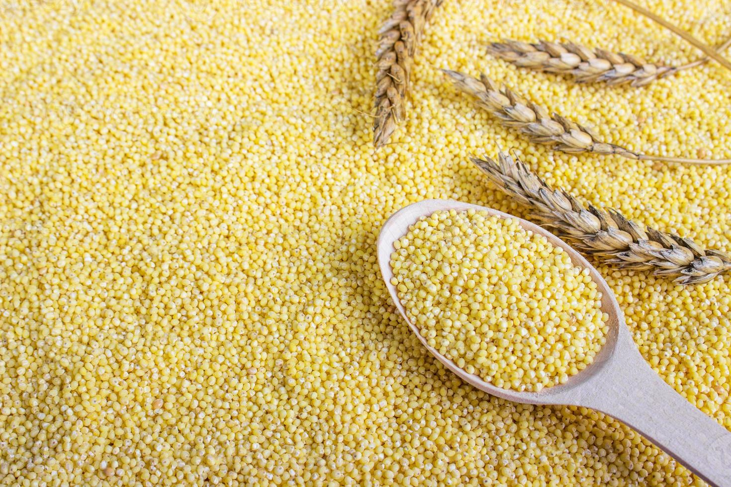 millet grain with wheat. Millet seeds in a wooden spoon on spoon