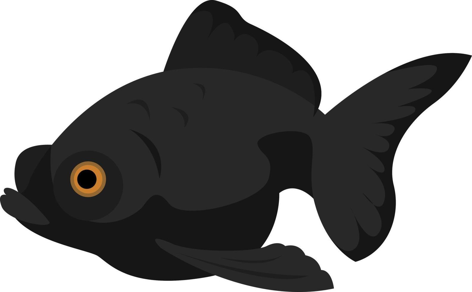 Telescop gold fish, illustration, vector on white background