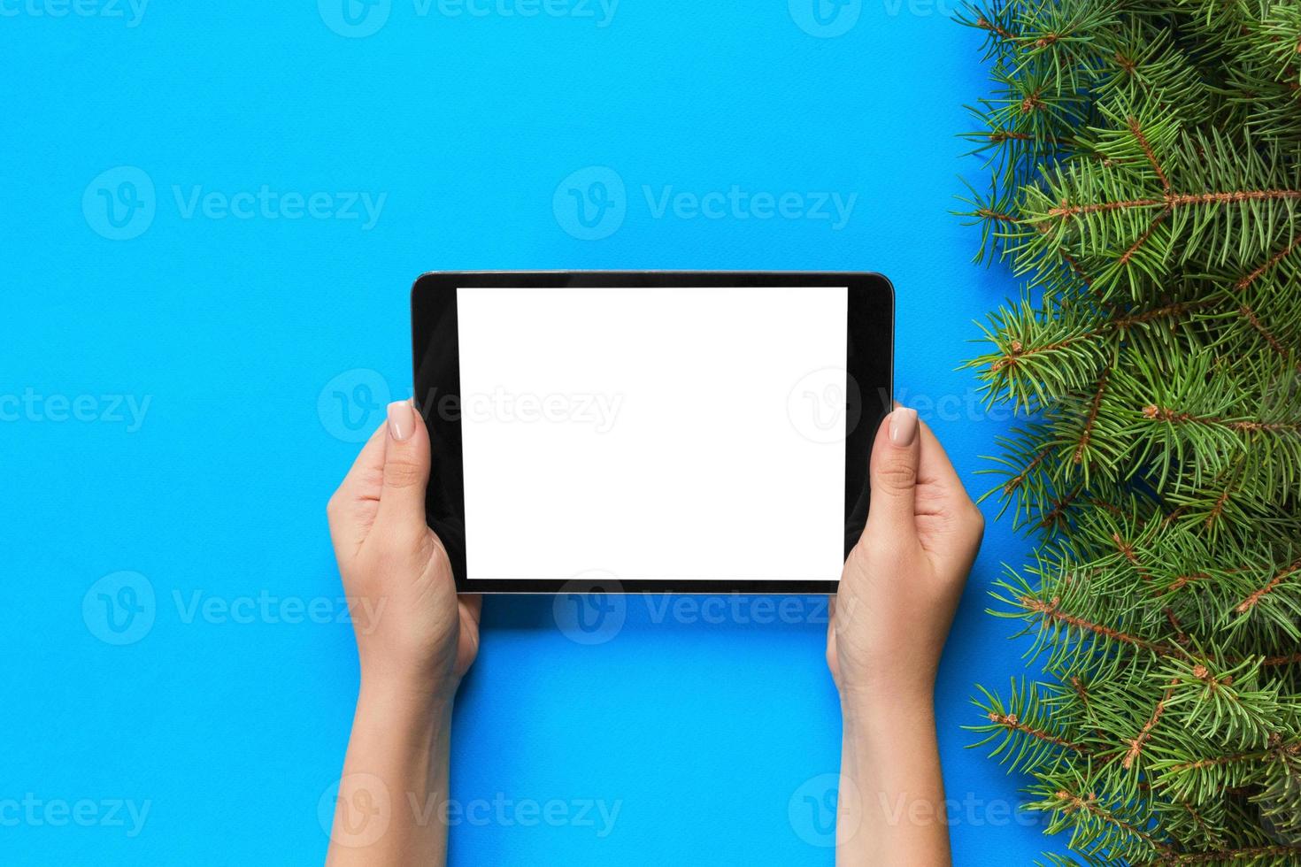 female hands with tablet computer on pink christmas background. Xmas tree branch top view photo