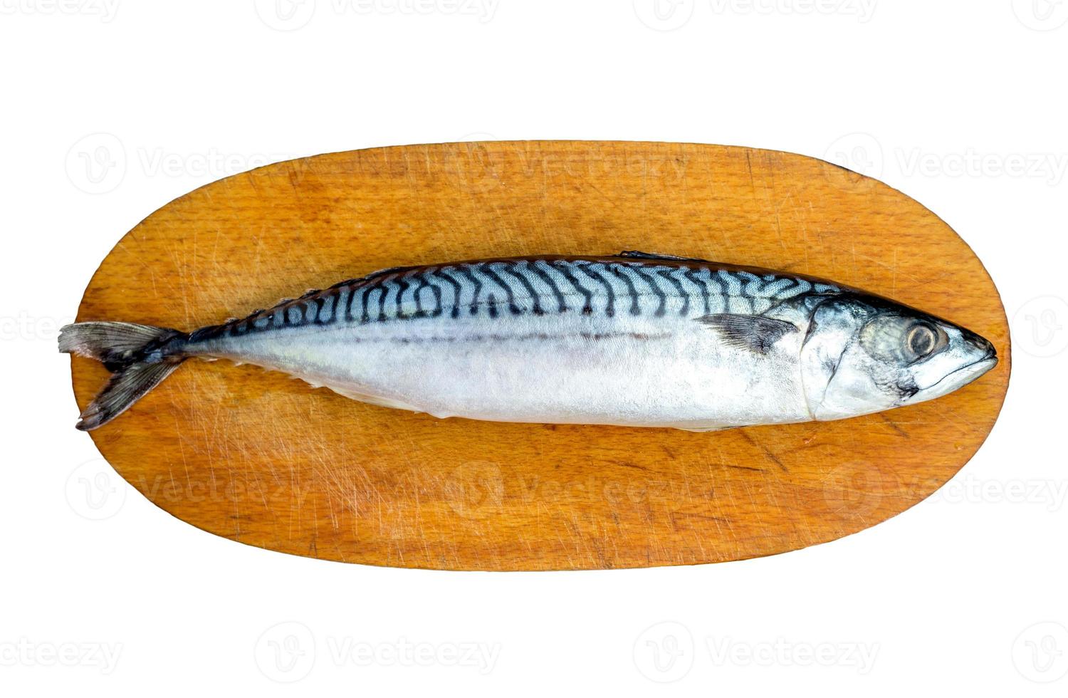 pescado fresco de caballa, scomber scrombrus, en tabla de cortar de madera. caballa fresca aislada foto