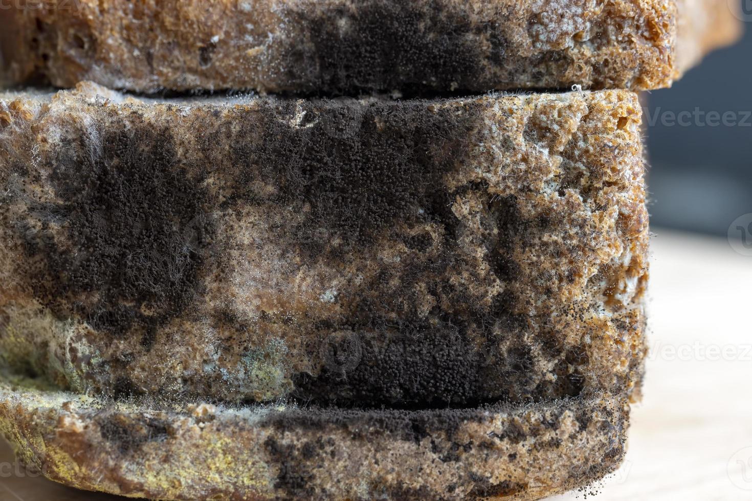 Black rye bread covered with black mold photo