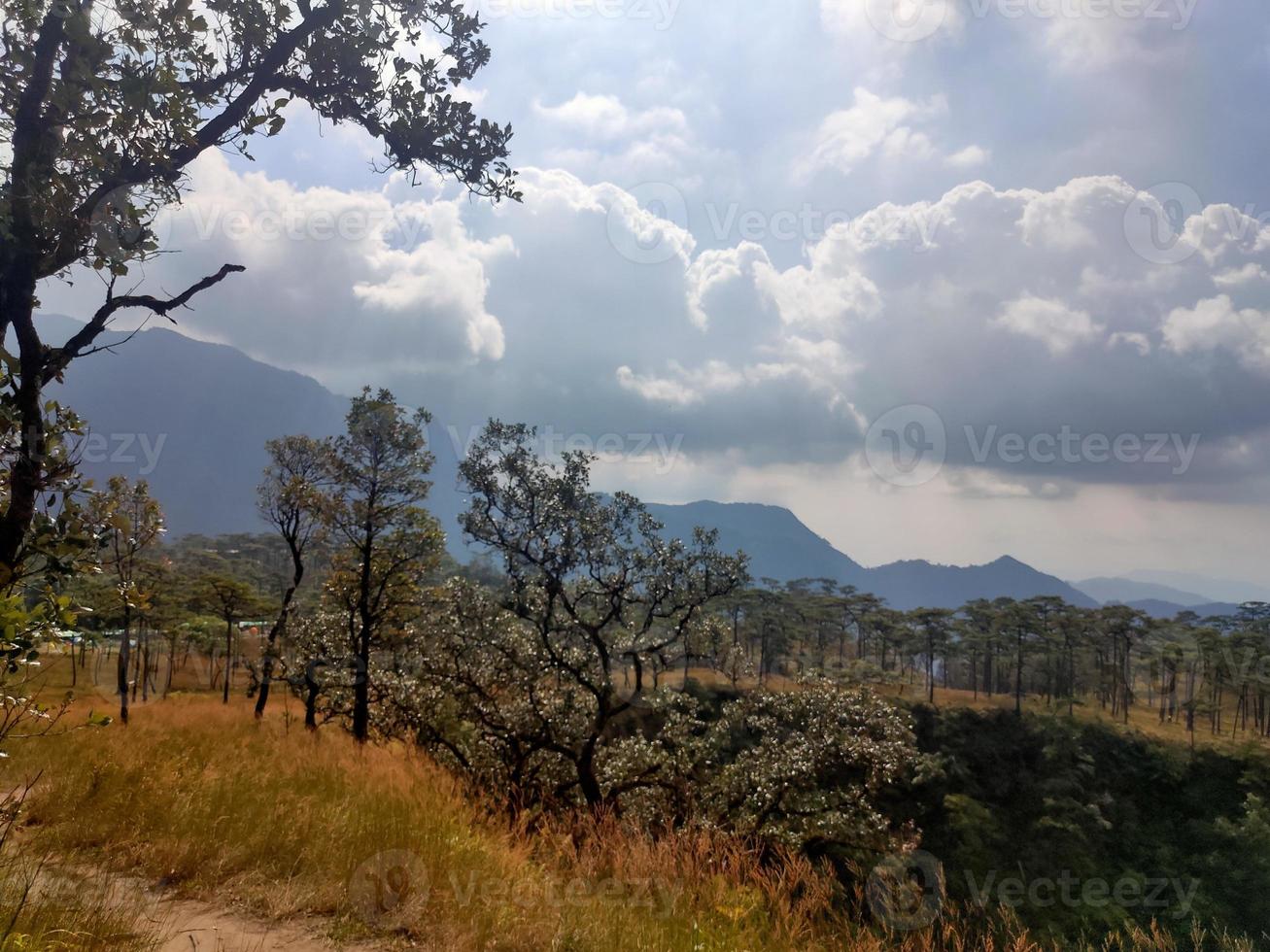 Mountain valley during sunrise. Natural summer landscape photo