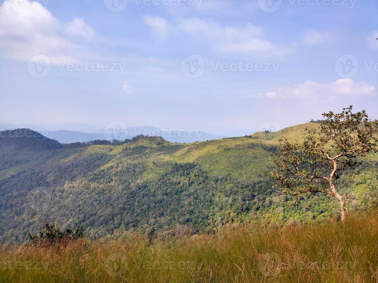 Mountain valley during sunrise. Natural summer landscape photo