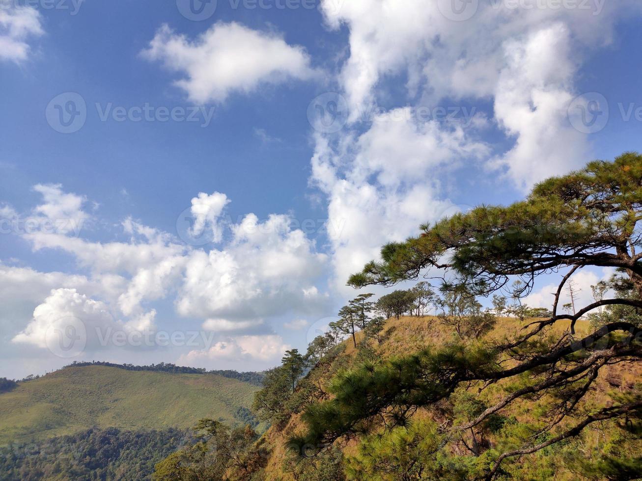 Mountain valley during sunrise. Natural summer landscape photo