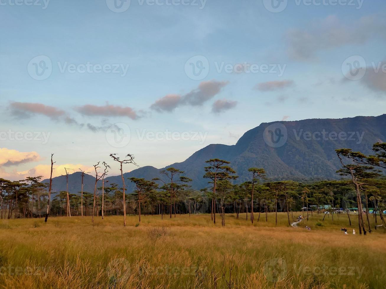 Rural landscape with a path, trees and meadows on hills, blue sky and pleasant warm sunshine photo