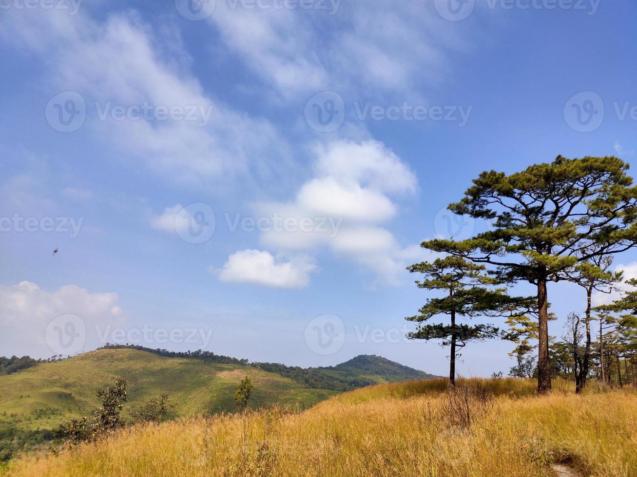 Mountain valley during sunrise. Natural summer landscape photo