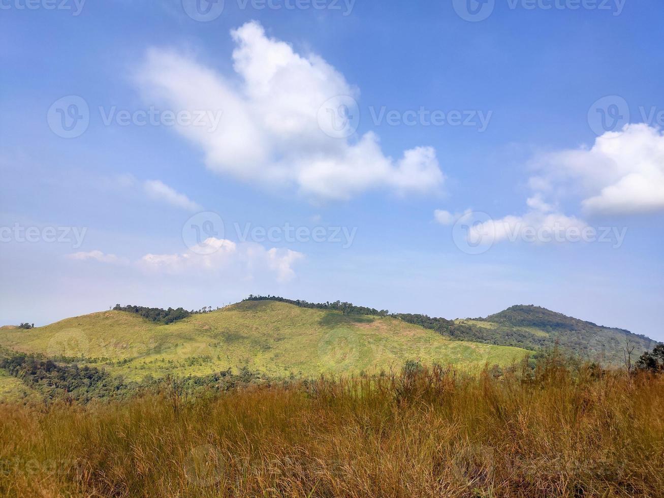 Mountain valley during sunrise. Natural summer landscape photo