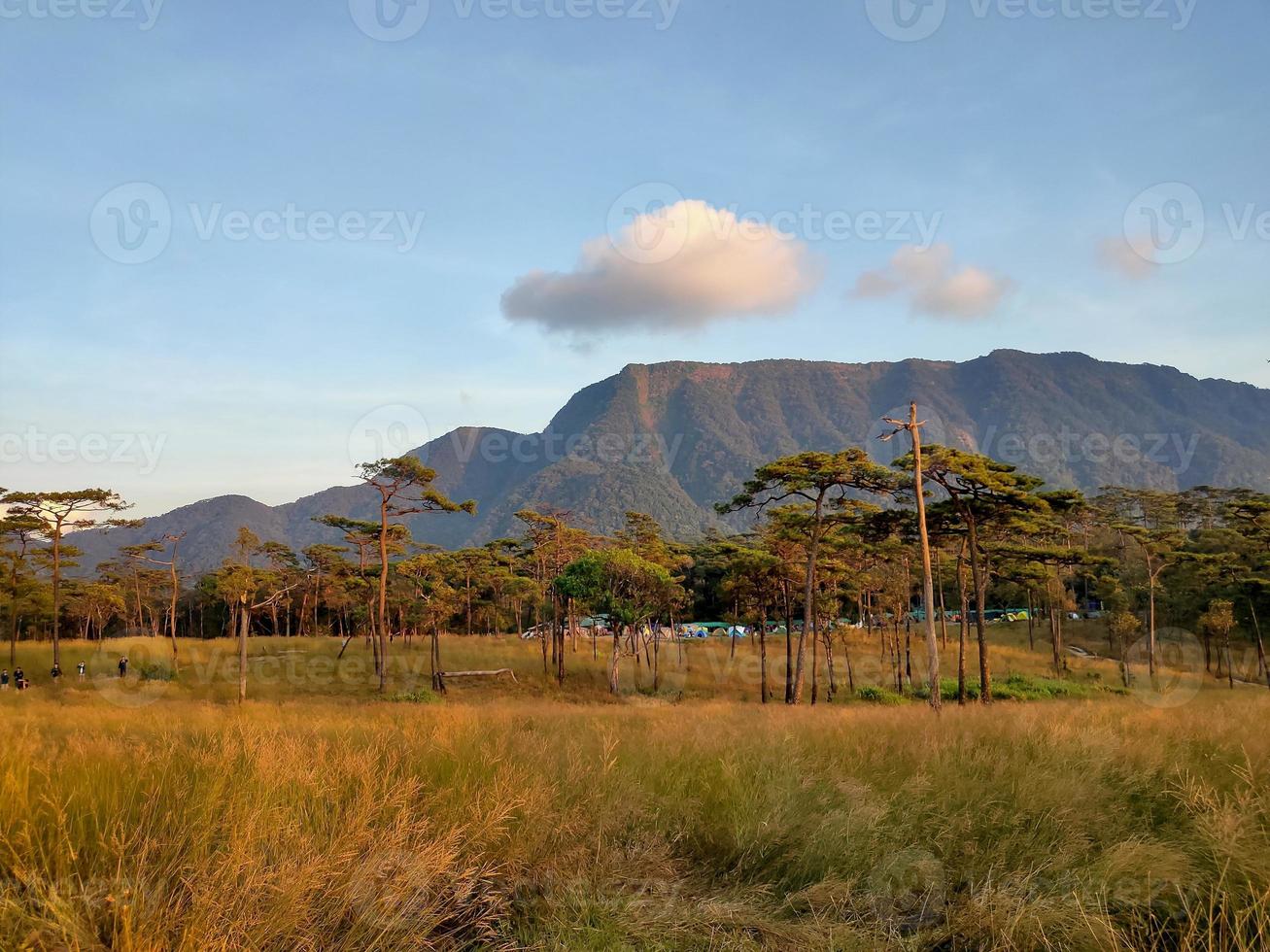 Mountain valley during sunrise. Natural summer landscape photo