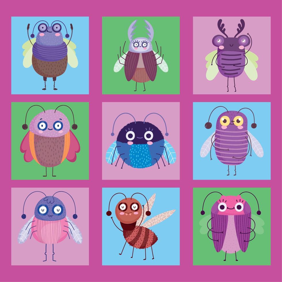bichos lindos insectos animales en estilo de dibujos animados, conjunto de iconos de color vector