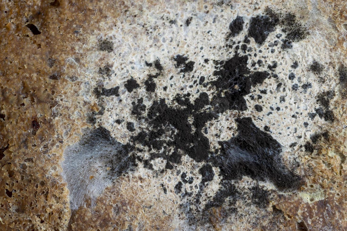 Black rye bread in mold on the board photo