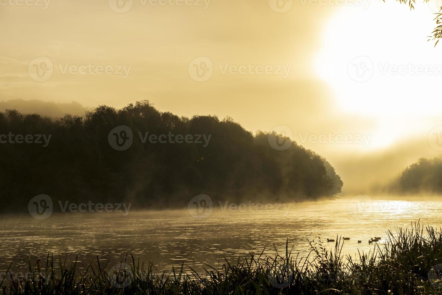 Foggy morning on the river photo