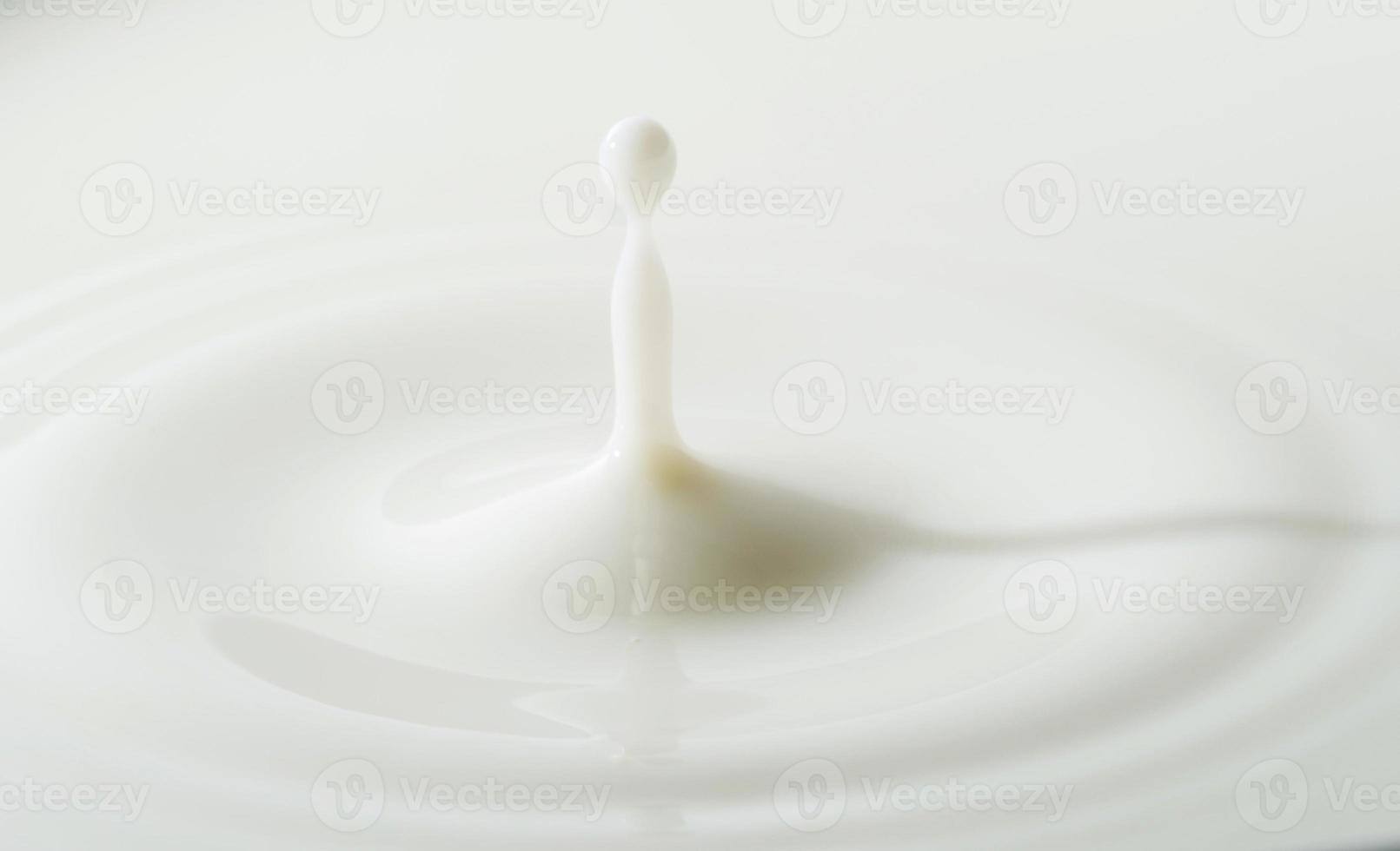 milk drop stop action photo