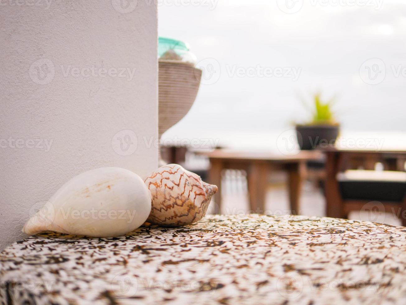 near beach decoration with shell photo