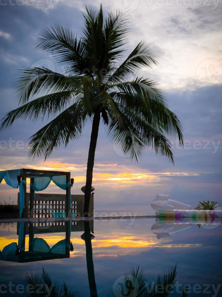 coconut tree in resort, tropical sunset in Thailand photo
