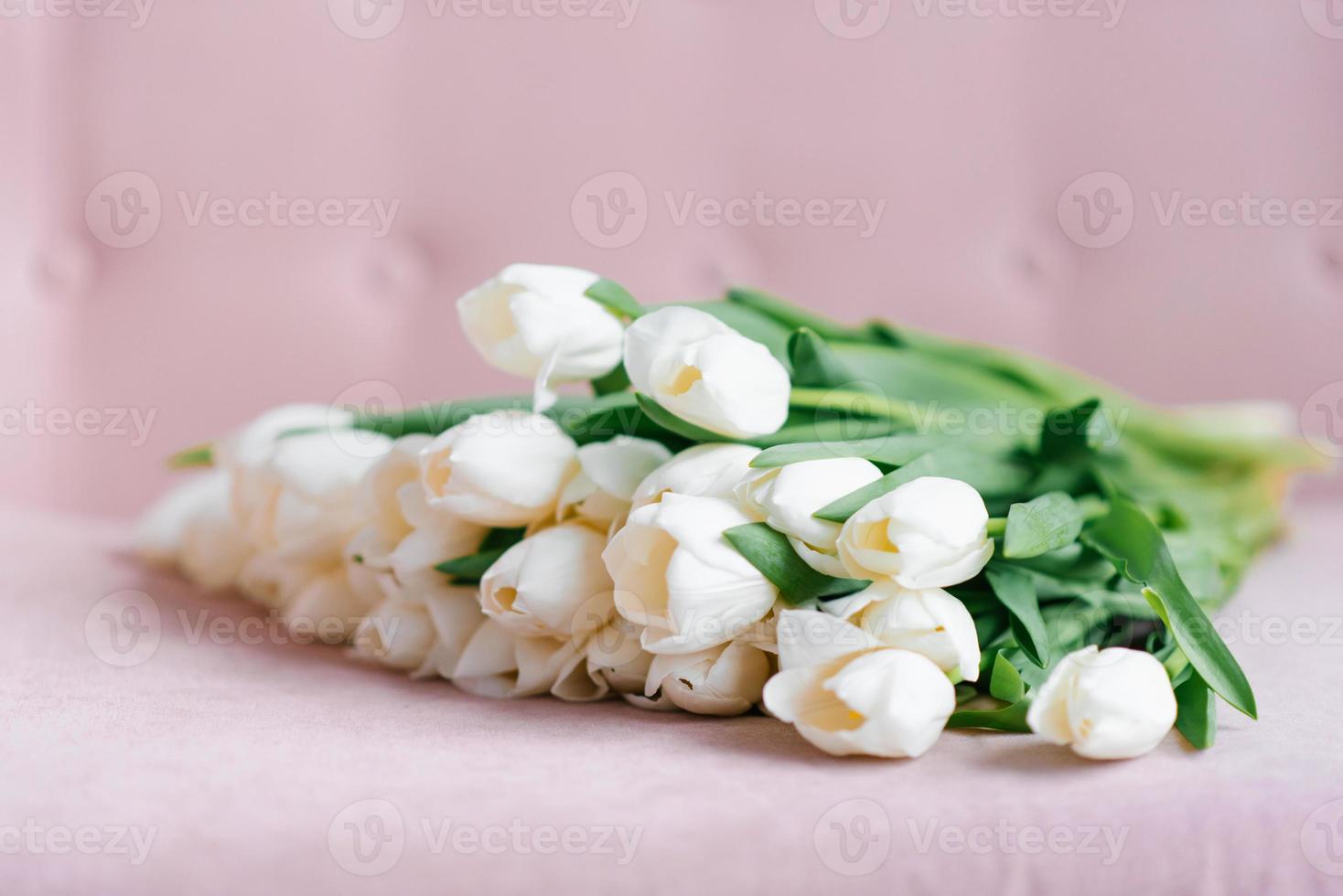 un ramo de tulipanes blancos se encuentra sobre una superficie rosa y un  fondo 13628803 Foto de stock en Vecteezy