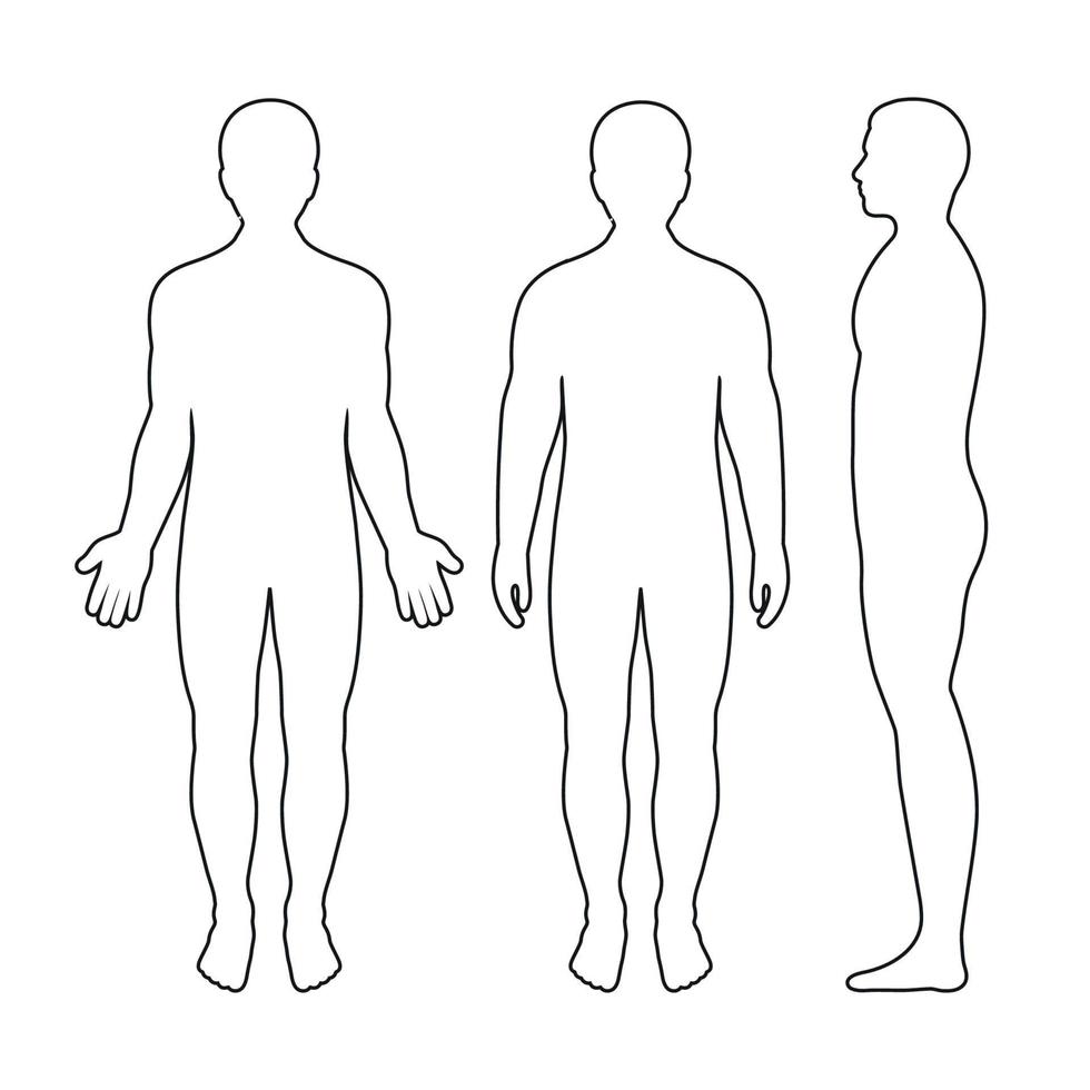 Set of contour silhouettes of men vector