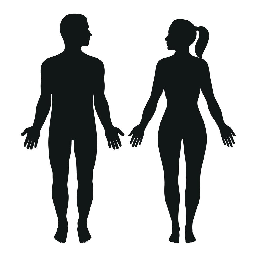 Illustration of a silhouette of a man and a woman vector