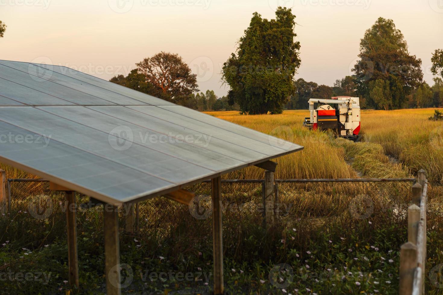 sistemas de suministro de energía fotovoltaica. paneles de energía solar. planta de energía solar. la fuente de energía renovable ecológica. - imagen foto