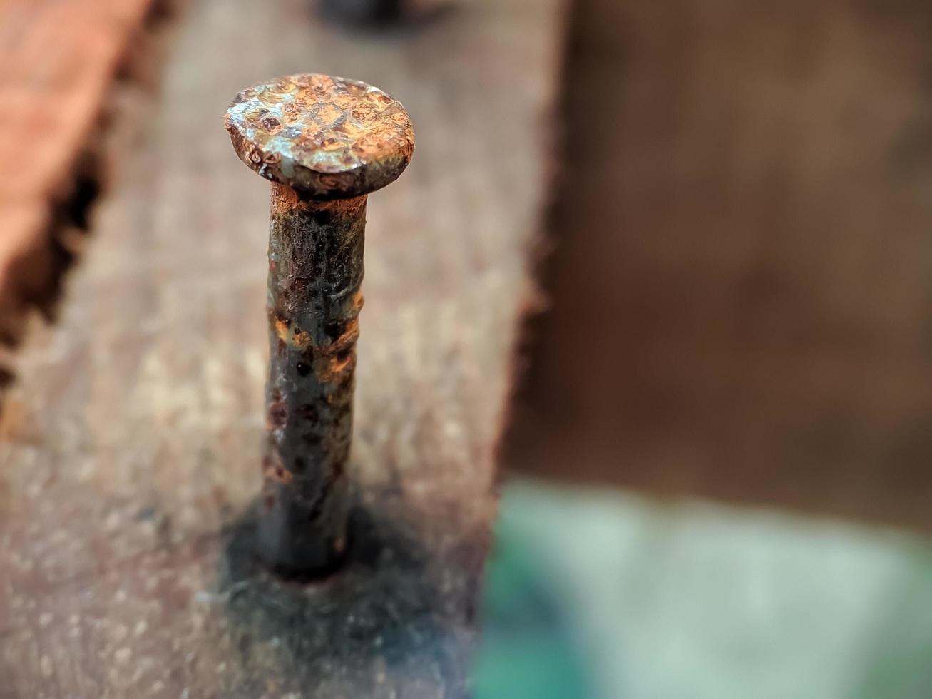 close-up of rusty nails in wood photo