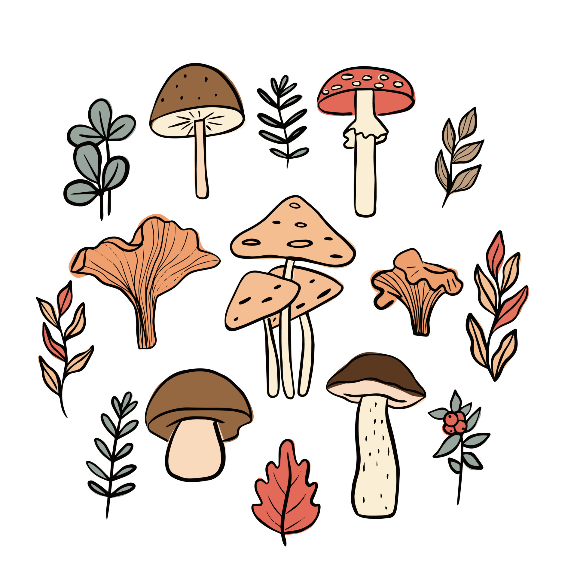 Set of mushrooms and plants. Doodle hand drawn elements. Icons for