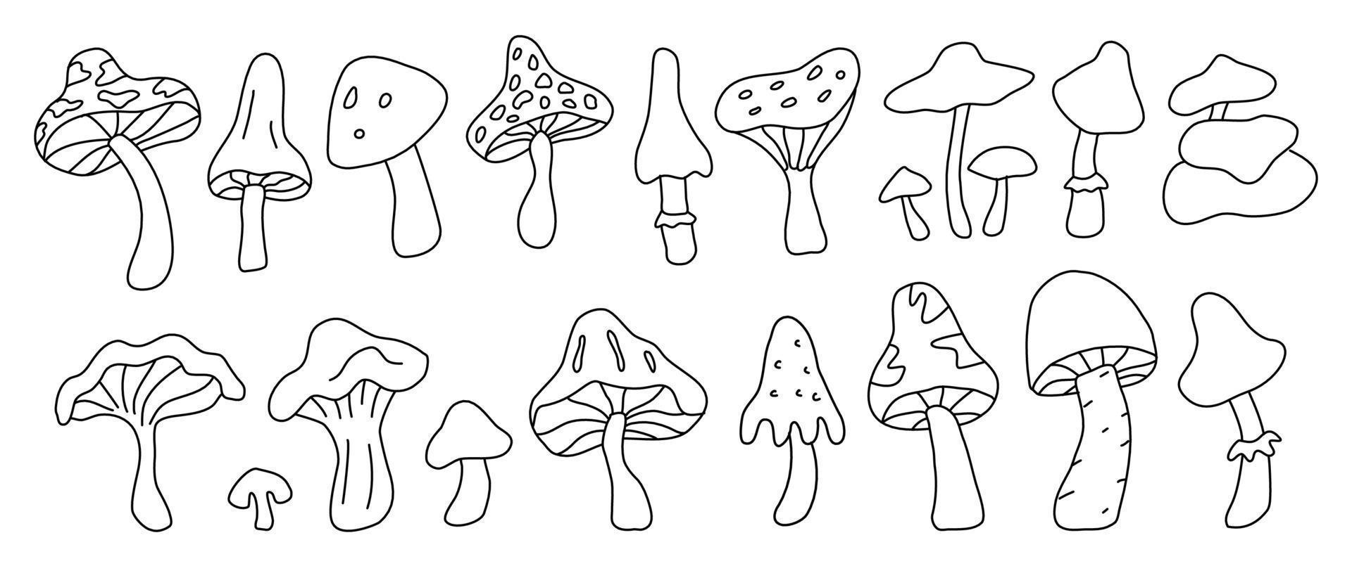 Hand drawn outlined mushroom. Simple black and white doodle sketch. vector