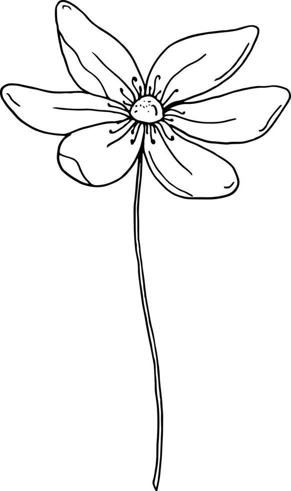 Flower icon. Black line hand drawn floral element isolated on white. One line contour floral drawing. Vector illustration